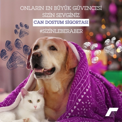 Can Dostum Sigortası